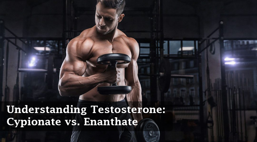 A Short Course In Lean Muscle with Testosterone Cypionate